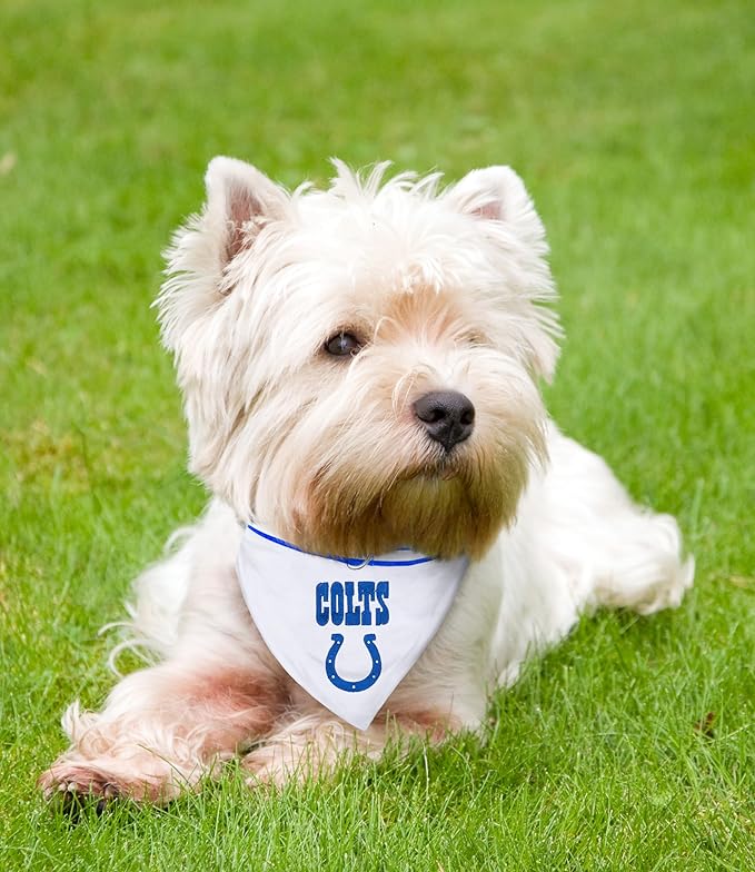 Pets First NFL Pets Collar Bandana