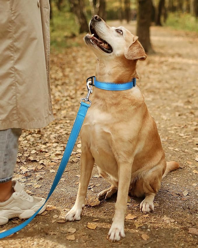 TagME Reflective Nylon Dog Collars, Adjustable Classic Pet Collar with Quick Release Buckle for Large Dogs, Sky Blue, 1.0" Width