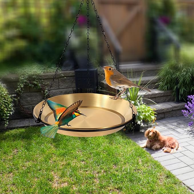 Hanging Bird Bath Bird Feeder Bowl with 16.3 inch Iron Hanging Chain Detachable Outdoor Decor for Garden Backyard Patio and Deck - Perfect for Attracting Birds