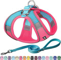 AIITLE Small Harness for Puppy with A Leash - Dog Vest Harness with Super Breathable Mesh, Reflective No-Pull Pet Harness for Outdoor Walking, Running for Small Dogs, Cats Hot Pink XXS