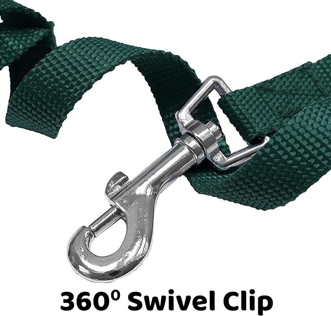 Downtown Pet Supply - Long Dog Training Leash for Recall & Obedience - Nylon, 30 ft, Hunter Green