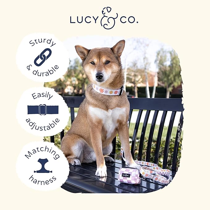Lucy & Co. Ballet Bows Dog Collar - Durable Lightweight Designer Collar for Pets - Adjustable Metal Safety Buckle - White & Pink Bows - Small