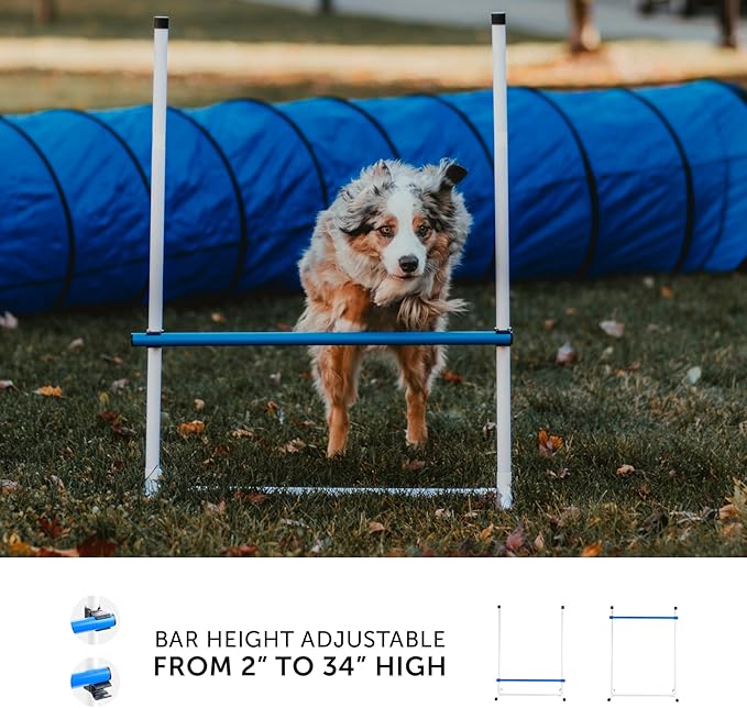Better Sporting Dogs Complete Starter Agility Set for Dogs | 5 Piece Dog Agility Kit | Agility Jump | Tire Jump | Weave Poles | 10’ Tunnel with Sandbags | Pause Box