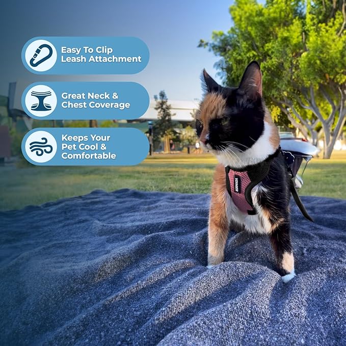 Voyager Escape-Proof Step-in Lock Cat Harness & 5ft Neoprene-Handle Leash Set All-Weather Mesh with Reflective Stitching for Small to Large Cats by Best Pet Supplies, Pink/Black Trim, XXS