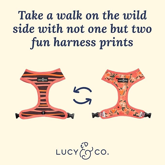 Lucy & Co. Reversible Dog Harness Walking Halter - Best Designer Pet Harnesses for Extra Small Medium Large XL Dogs Plus Pug Breeds - Padded Adjustable Puppy Vest for Easy Walking