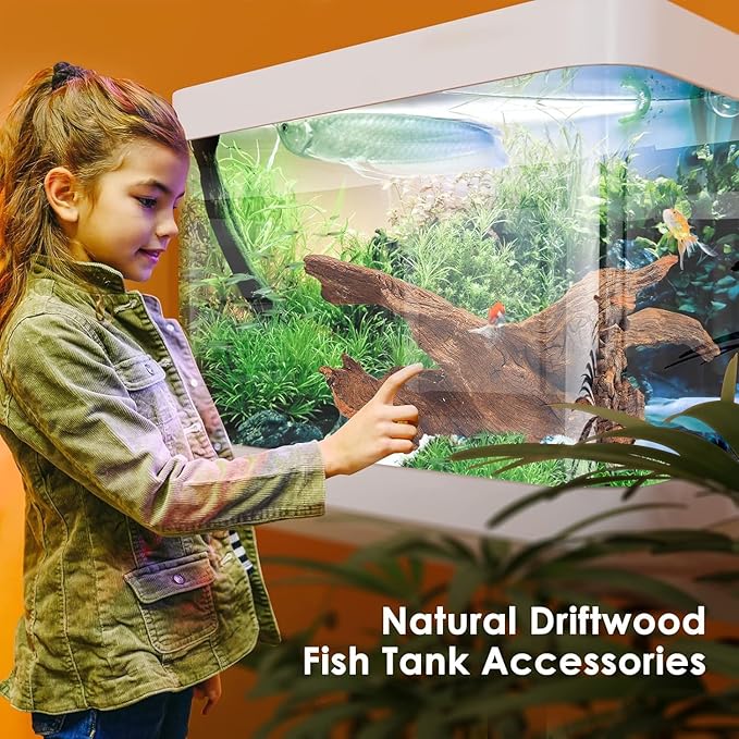Jorewood Natural Large Aquarium Driftwood for Fish Tanks & Reptile Terrariums – Safe Fish Tank Decorations, Unique Twisted Branches 2-Piece 14-18 Inch Low Tannin, Easy to Sink