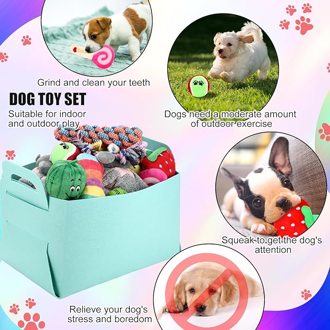 Abbylike 50 Pcs Puppy Supplies Starter Kit for Small Dogs Puppy Essentials Includes Leash, Bowls, Teeth Brushes, Water Bottle, and More Accessories for Dogs Pet Day Welcome Gift(Colorful)