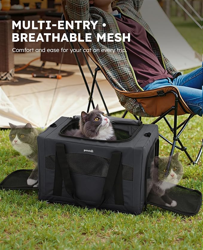 Pecute Cat Carrier Stable, Pet Carrier with Hidden Anxiety Relief Partition & Stable Steel Frame, Safe Cat Carrier for Car Travel, Soft-Sided Dog/Cat Carrier Bag for Pets Up to 11lbs, Dark Gray