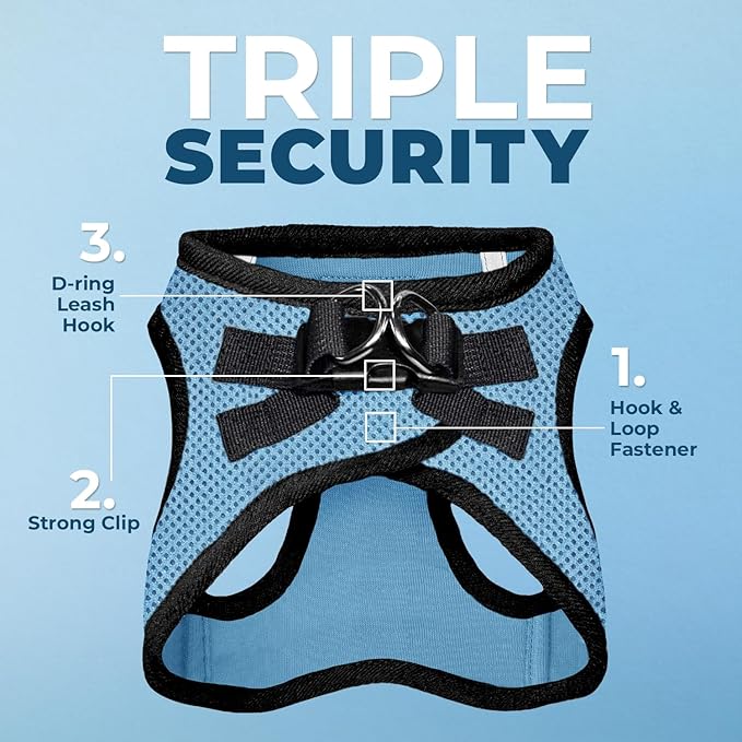Best Pet Supplies Voyager Step-in Air All Weather Mesh Harness and Reflective Dog 5 ft Leash Combo with Neoprene Handle, for Small, Medium and Large Breed Puppies - Baby Blue/Black Trim, X-Large