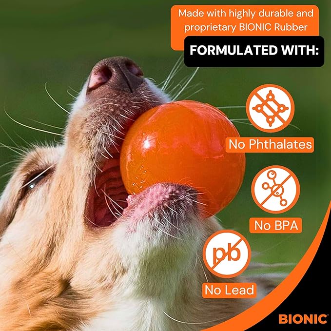 BIONIC Ball Dog Toy, Medium - Interactive Dog Chew Toy That Stands Up to The Toughest Chewers, for Dogs Between 15-35 lbs. (7-15 kg.)