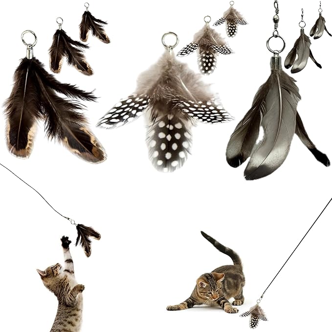 Feather Toys Replacements (9 Pc) - Cat Toys & Kitten Toys for Indoor Kittens, Set of Replacement Feather Attachments Extra Small and Durable, for Cat Wands, Natural and Safe, Cat Lures