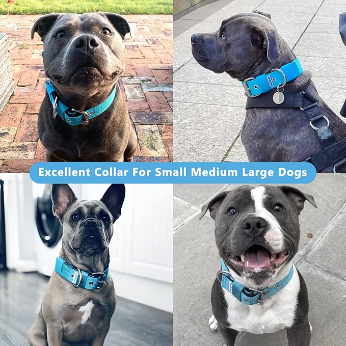 Heavy Duty Tactical Dog Collar - 1.5" Width Military Durable Thick Nylon with Adjustable Metal D Ring & Buckle Working Training K9 Collar for Medium Large Dogs (XL(23"-26"), Light Blue)