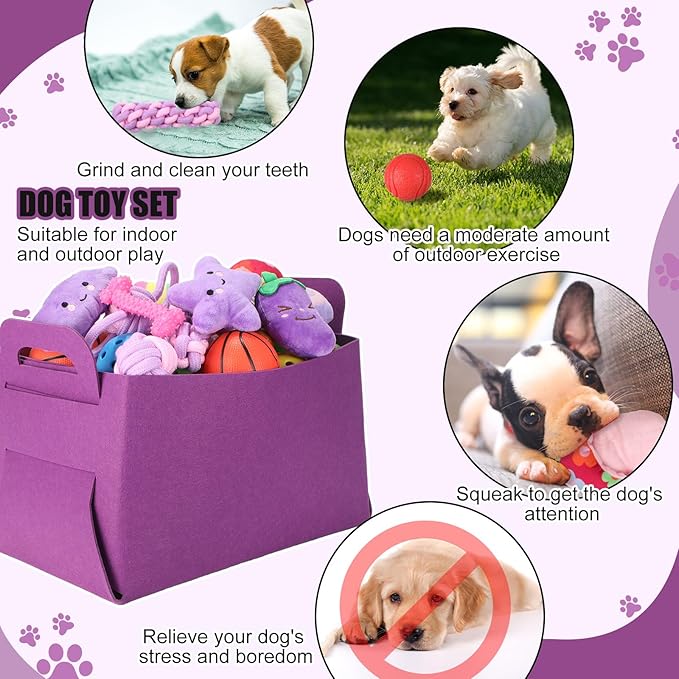 Abbylike 50 Pcs Puppy Supplies Starter Kit for Small Dogs Puppy Essentials Includes Leash, Bowls, Teeth Brushes, Water Bottle, and More Accessories for Dogs Pet Day Welcome Gift(Purple)