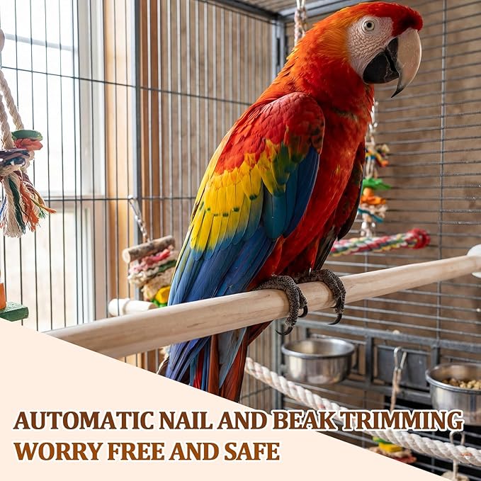 Sintuff 8 Pcs Bird Perches for Cage Accessories, Wooden Perch Rods Replacement with Double Head Slots, 0.6 Inch Diameter Natural Wood Stand for Parrot Macaw Cockatoo Parakeet(30 Inches)