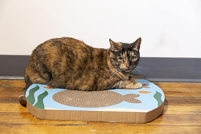 Pearhead Interactive Cat Scratch Toy, Fishbowl Theme, 19"W x 14.8"H x 1.3"D