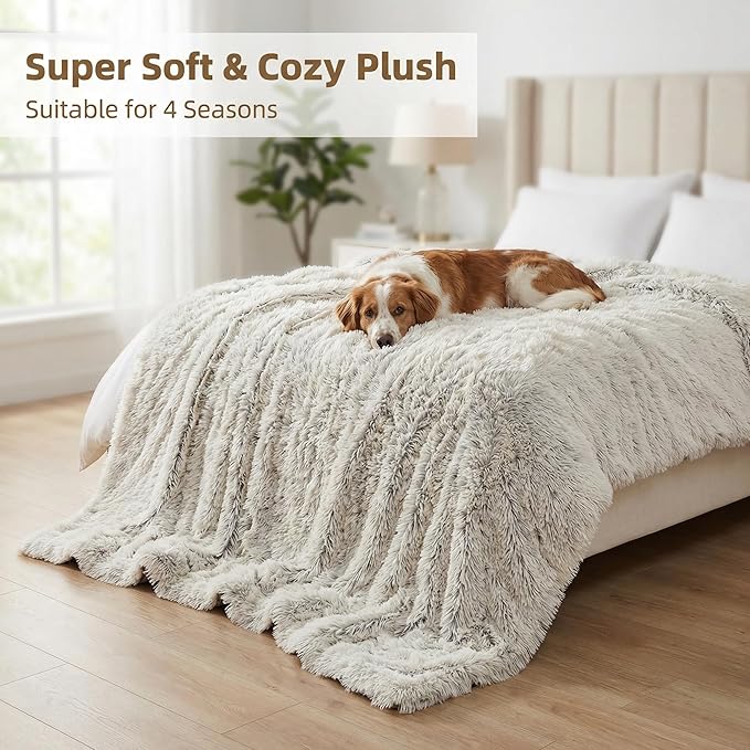 PJYuCien Dog Blankets for Small Dogs Washable - Fluffy Fuzzy Cat Blanket for Couch, Puppy Throw for Furniture with Polyester Fleece, Super Soft Plush for Pet Kitten Doggy, Grey, 16" x 24"