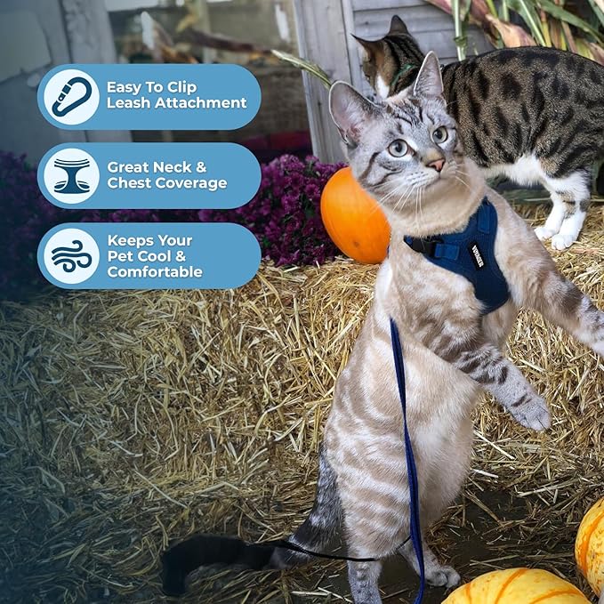 Voyager Escape-Proof Step-in Lock Cat Harness & 5ft Neoprene-Handle Leash Set All-Weather Mesh with Reflective Stitching for Small to Large Cats by Best Pet Supplies, Royal Blue, XS