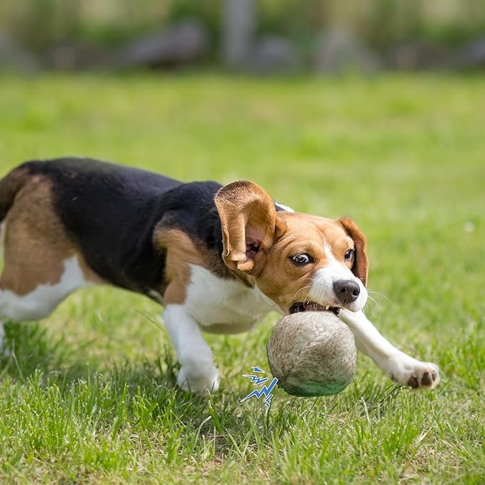 Nocciola Wobble Giggle Ball for Dogs, Interactive Dog Toys for Boredom, Squeaky Ball Dog Toys to Keep Them Busy, Pet Toys for Small Medium Large Dogs, Fun Giggle Sounds When Rolled or Shaken (L)