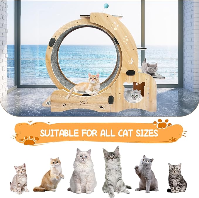 6-in-1 Cat Exercise Wheel - Quiet Wood Cat Treadmill with Cat House, Tree & Feeding Bowls - Sturdy Indoor Cat Activity Center for Running & Play - Large Cat Furniture with Scratching Pad