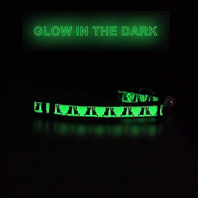 Pawtitas Glow in The Dark Cat Collar with Breakaway Safety Buckle & Bell Adjustable Kitten Collar, Black