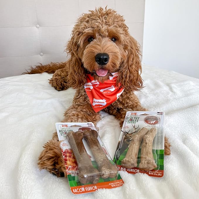 Nylabone Healthy Edibles WILD Natural Dog Chew Treats for Large Dogs, Long Lasting Dog Healthy Chew Antler Bone Made in USA, Venison Flavor, For Dogs Up to 50 lbs. (2 Count)