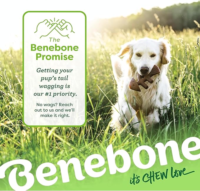 Benebone Fishbone Durable Dog Chew Toy for Aggressive Chewers, Real Fish, Made in USA, Small