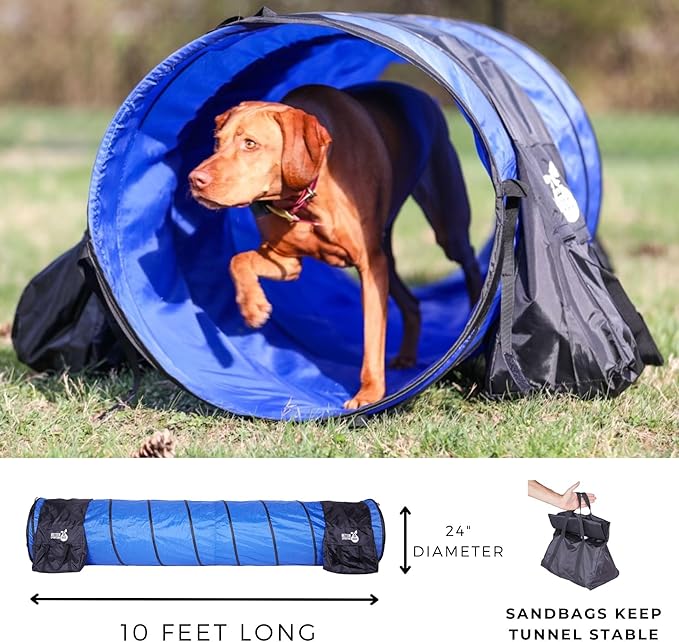 Better Sporting Dogs Complete Starter Agility Set for Dogs | 5 Piece Dog Agility Kit | Agility Jump | Tire Jump | Weave Poles | 10’ Tunnel with Sandbags | Pause Box