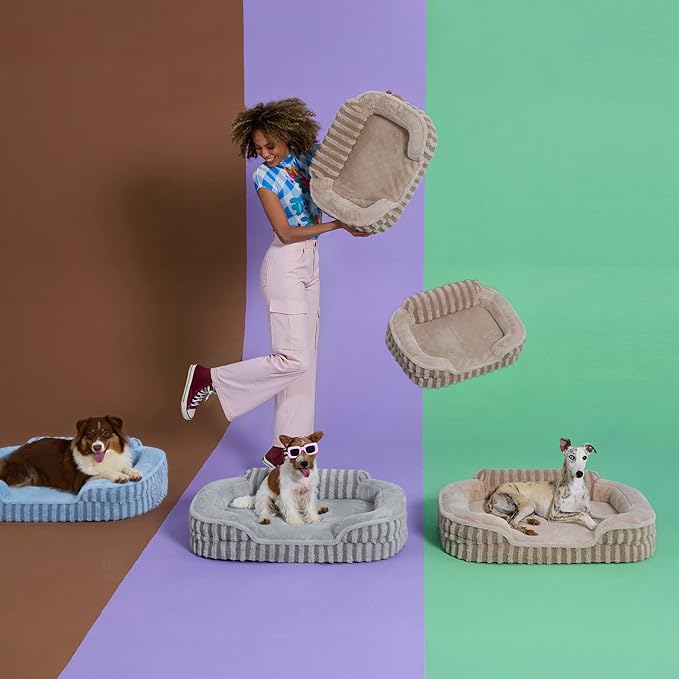 LE SURE Cute Dog Bed Medium Size Dog, Orthopedic Waterproof Medium Pet Beds with Sides, High Back Non-Slip Bottom and Egg-Crate Foam Pet Couch Sofa with Washable Removable Cover, Blue