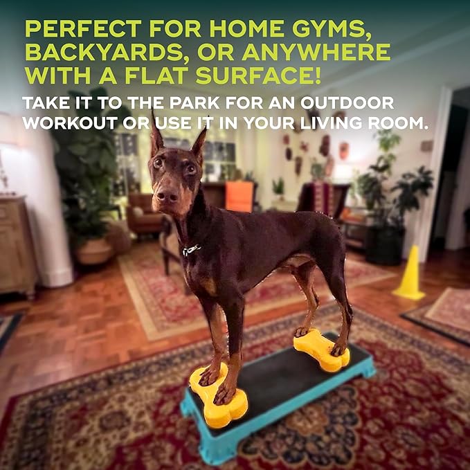 Mini K9fitbone Balance Training Platform (Set of 2)