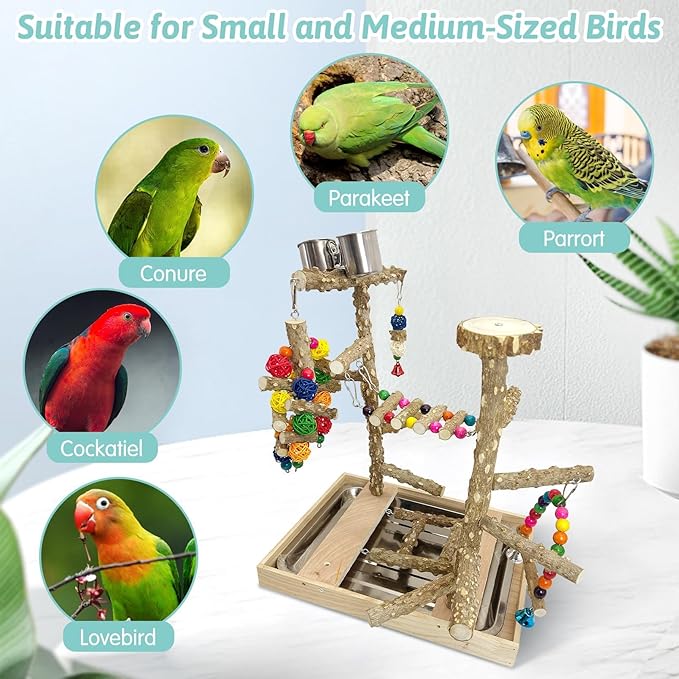 PINVNBY Bird Playground Natural Wood Parrot Perch Stand Bird Play Gym Colorful Ladder Swing Chewing Toys with Metal Tray and 2 Stainless Steel Cups Cage Accessories for Conure Cockatiel Parakeet