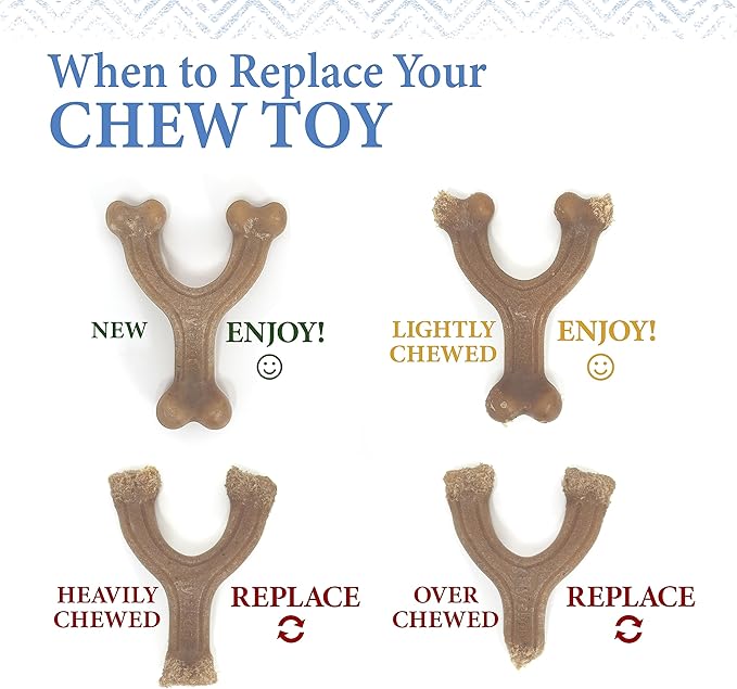 Nylabone Gourmet Style Femur Bone Strong Chew Toy for Puppies, Soothing Puppy Teething Toys, Puppy Enrichment, Bacon Flavor, Small Dogs - Up to 25 Ibs, 1 Count