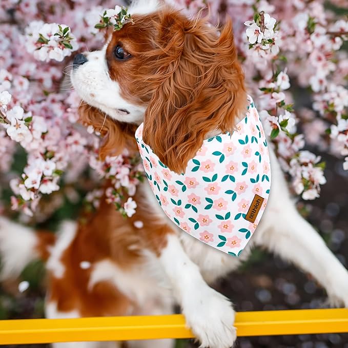 Spring Dog Bandanas with Snap Button, 2 Pack Floral Dog Scarf for Boy & Girl, Durable Fabric, Adjustable Fit, Unique Shape, Gift for Dogs, Daisy Bandana for Large and Extra Large Dogs (X-Large)