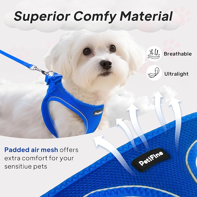 PetiFine Step in Small Dog Harness and Leash Set, Breathable All Weather Air Mesh Reflective Escape Proof, Step-in Vest Harnesses for Puppy(S, Baby Blue)