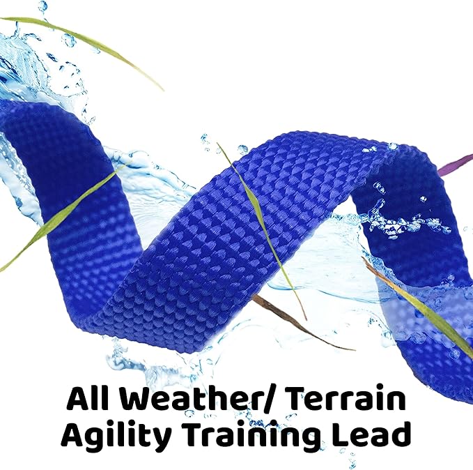 Long Dog Puppy Obedience Recall Training Agility Lead, Leash - BLUE, 15' Foot - by, Downtown Pet Supply