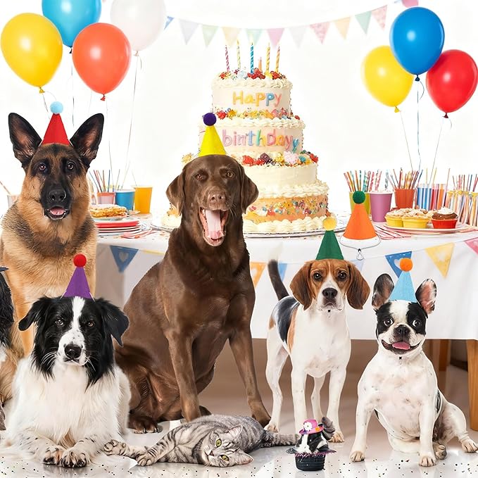 12 PCS Mini Party Hats for Stuffed Animals Birthday Felt Cone Hat with Pompom Adjustable Pets Birthday Party Hats for Assorted Animal Dog Cat Rabbit Puppies Costume Accessories Decor