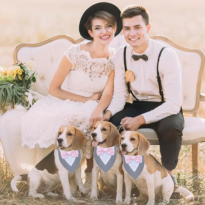 ADOGGYGO Formal Dog Tuxedo Wedding Pet Bandana Collar with Bowtie, Adjustable Birthday Wedding Formal Tux Costumes for Medium Dogs Pets (M, Grey)