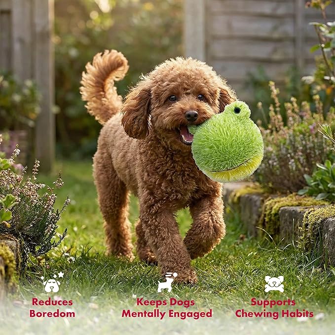 Pet Lou DOG'Z 4 Inch EZ Squeaky Frog Dog Plush Toy, Stuffing-Free Soft Plush Toy with Bouncy Squeaker Ball, Floats in Water, Ideal for Small and Medium Dogs