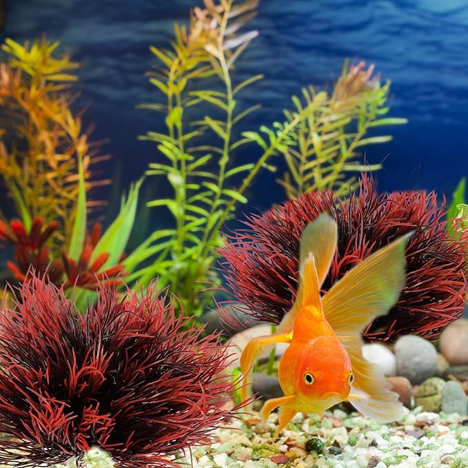 2 Pcs Aquarium Plants Fish Tank Decorations Artificial Fish Tank Plants Plastic Mini Grass Set Natural Style Tanks Accessories (Black Red)
