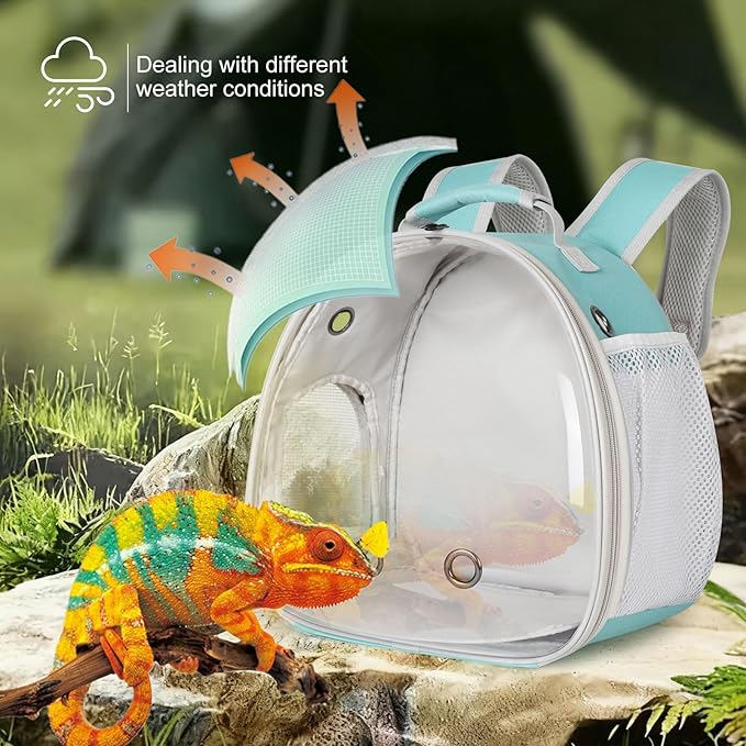 Bearded Dragon Travel Backpack with Harness and Leash Set,Lizard Backpack Travel Carrier,Space Capsule Clear Bubble Window Astronaut Reptile Carrier Backpack, Airline Approved