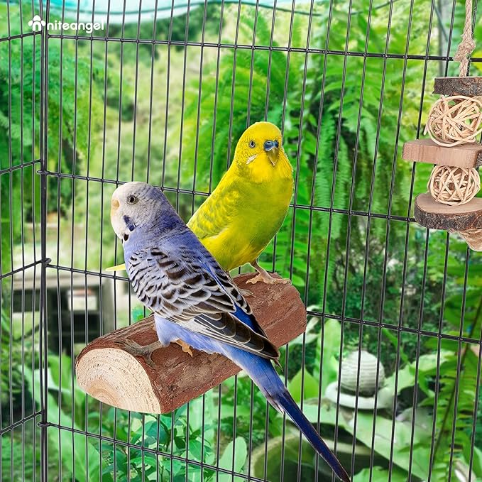 Niteangel Parrot Cage Perch, Wooden Platform for Birds (1 Pack)
