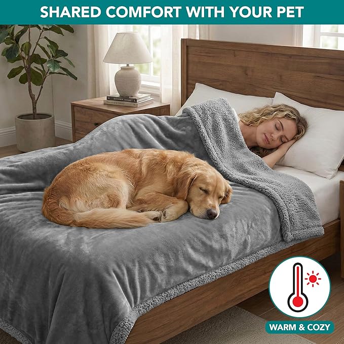 PetAmi Waterproof Dog Blanket for Medium Large XL Dog Puppy Cat Throw for Couch Cover Leakproof Protection, Sherpa Fleece, Reversible Soft Washable 80x60 Light Gray