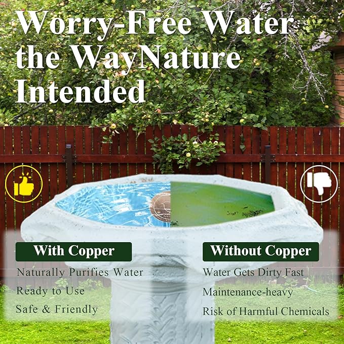 Copper Bird Bath Disks (2-Pack), 4.2" Large Surface, 20% More Coverage, Year-Round Water Cleanliness