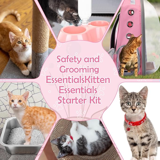 31 Pcs Kitten Supplies Starter Kit Kitten Essentials Starter Kit Include Stainless Steel Cats Litter Box Backpack Cat Scratcher Kitten Toys Accessories for Kitten Welcome Gift Supplies