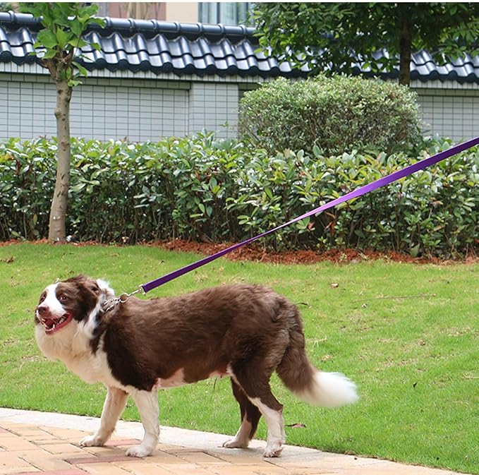 AMAGOOD Dog/Puppy Obedience Recall Training Agility Lead-15 ft 20 ft 30 ft 50 ft Long Leash-for Dog Training,Tie Out,Play,Safety,Camping (50Feet x 1Inch, Purple)