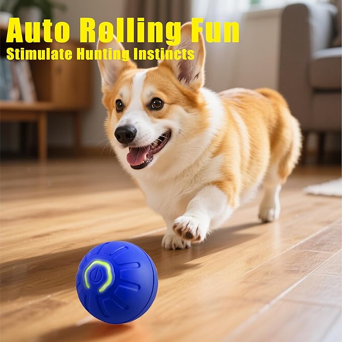 BIONEMAGILI Interactive Self-Moving Pet Toy Ball - Motion-Activated Auto Rolling, Military-Grade Chew Resistant, USB-C Rechargeable for Small Dogs & Cats (Orange, Small1