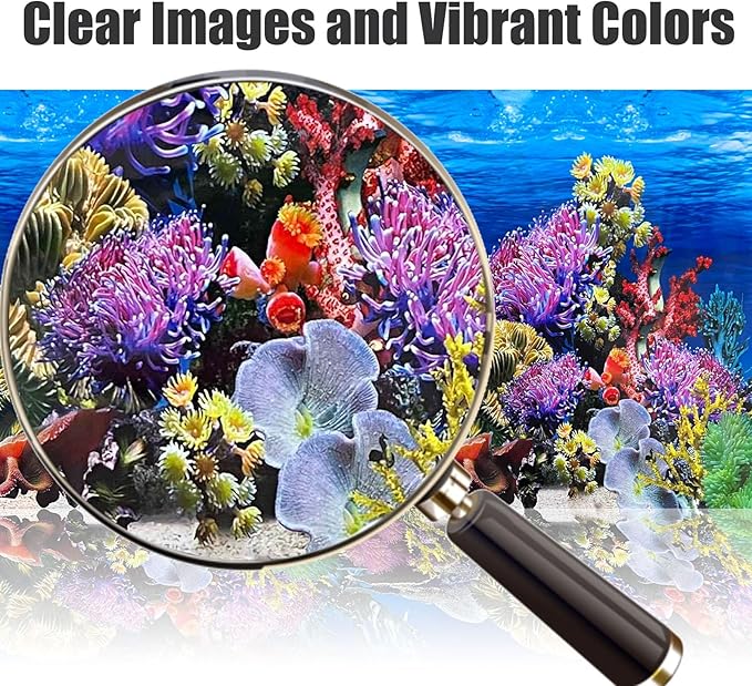 Fish Backgrounds Paper Double Sides Undersea Aquarium Background Poster Colorful Sea Anemone Fish Tank Background Sticker Decorations 16"x 33"