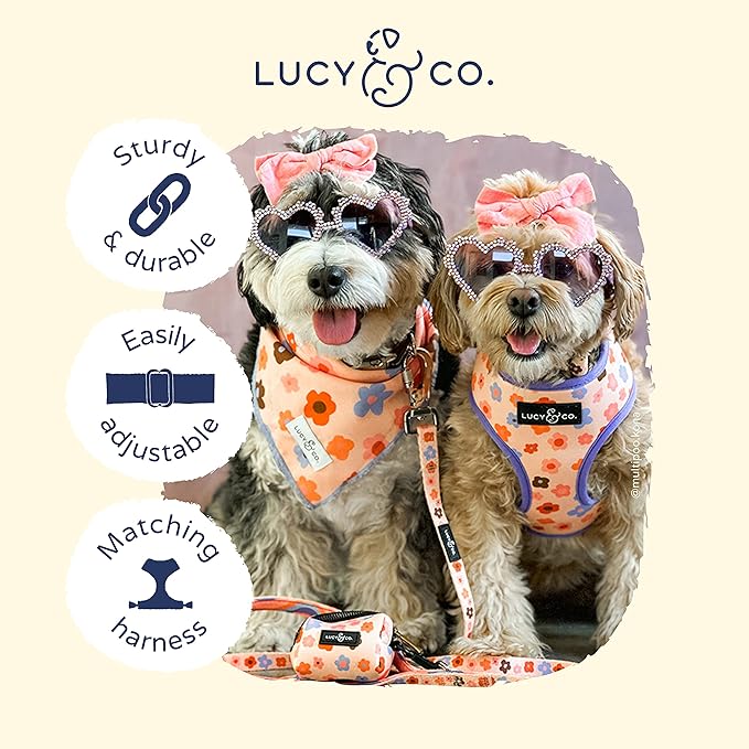 Lucy & Co. Let's Groove Dog Collar - Durable Lightweight Designer Collar for Pets - Adjustable Metal Safety Buckle - Purple Coral Floral - Small
