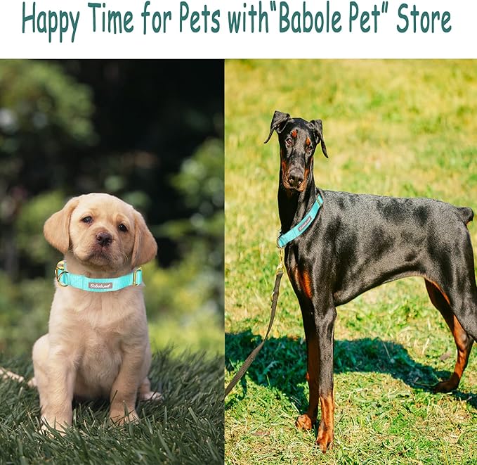 Nylon Dog Collar - Adjustable Lake Blue Soft Webbing Dog Collars for Small Medium Large Dogs Boy Girl Puppy Collar with Safety Metal Buckle M