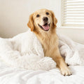 gogobunny Waterproof Dog Blanket for Couch & Furniture Protection - Super Soft Reversible Throw for Large Dogs & Cats, Calming Washable Fur & Sherpa Pet Blanket (50x60 Inch, Cream)