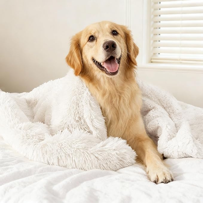 gogobunny Waterproof Dog Blanket for Couch & Furniture Protection - Super Soft Reversible Throw for Large Dogs & Cats, Calming Washable Fur & Sherpa Pet Blanket (50x60 Inch, Cream)